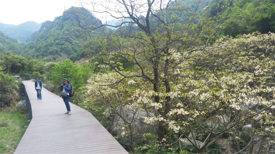 2016.4.12.11.jpg