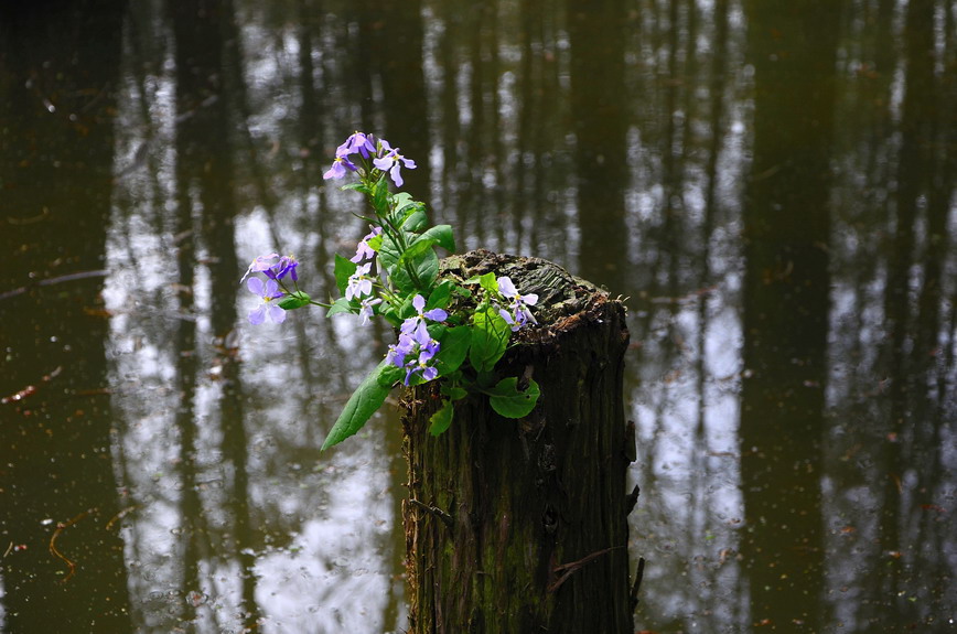 _dsc0926.jpg