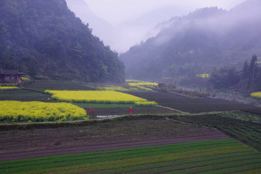 雨中漫步 小溪-马鹿河02.jpg