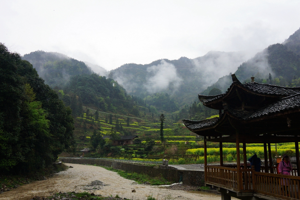 雨中漫步 小溪-马鹿河22.jpg