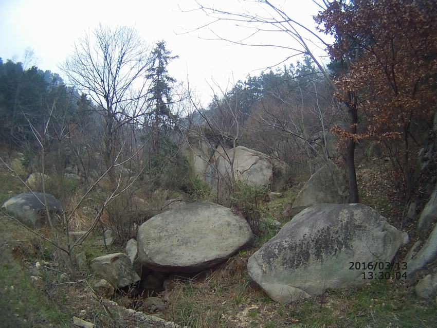 05.jpg