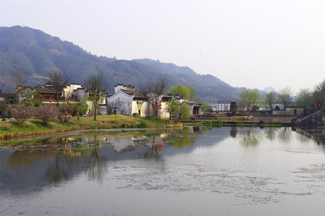 _igp0621.jpg
