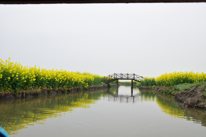 dsc_5741_1.jpg