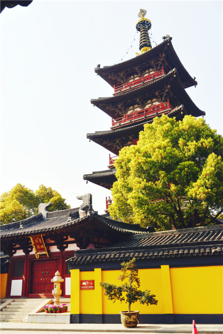 dsc_7737_副本.jpg