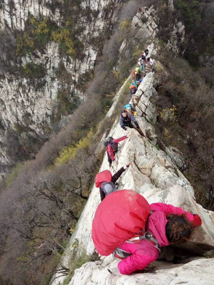 zzzzqq图片20160425064358.jpg