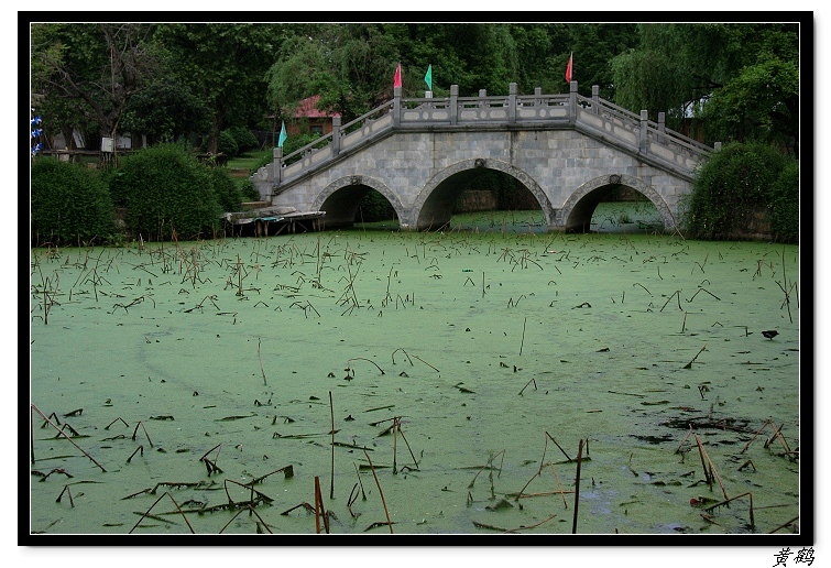 -ﵺŮ28.jpg