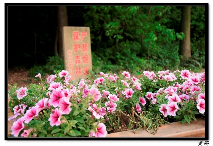 -ﵺŮ34.jpg