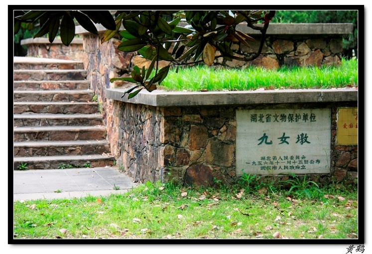 -ﵺŮ46.jpg