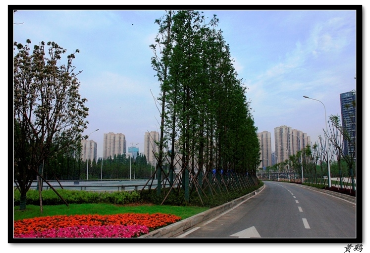-ﵺŮ49.jpg
