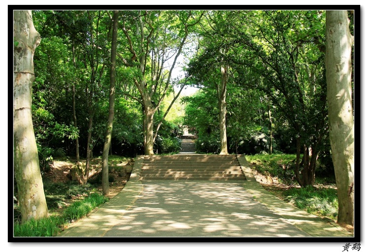 -ﵺŮ55.jpg