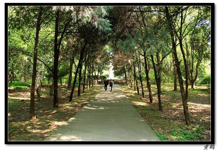 -ﵺŮ57.jpg