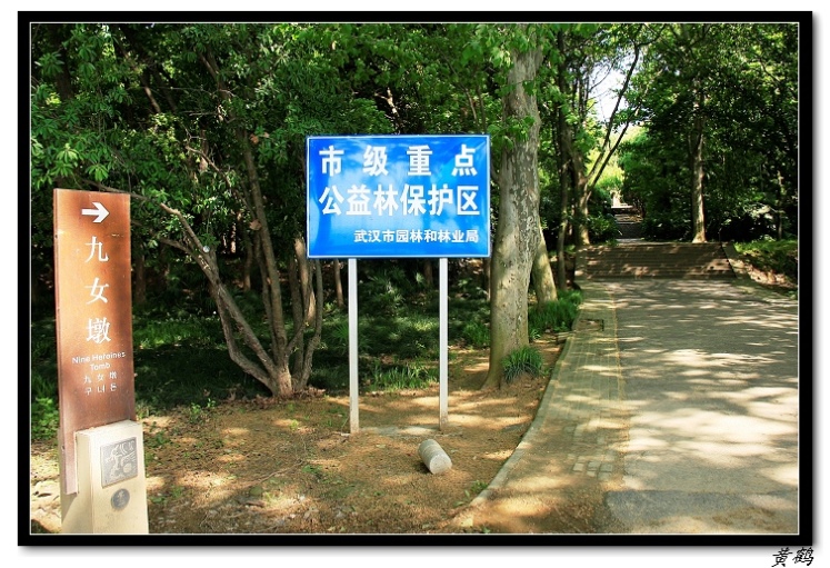 -ﵺŮ54.jpg