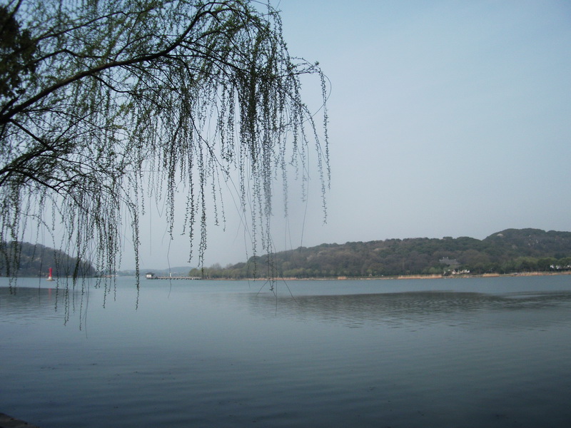 dscf1029.jpg