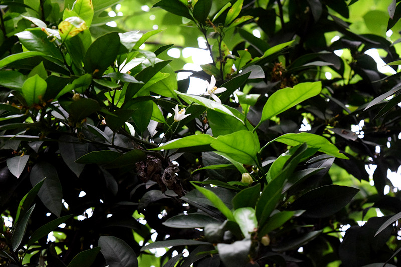 20160424ӻ03.jpg