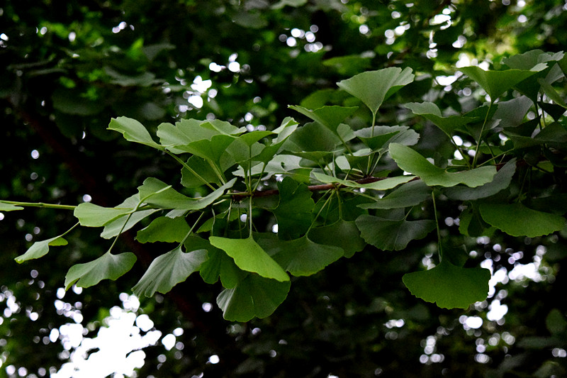 20160424.jpg