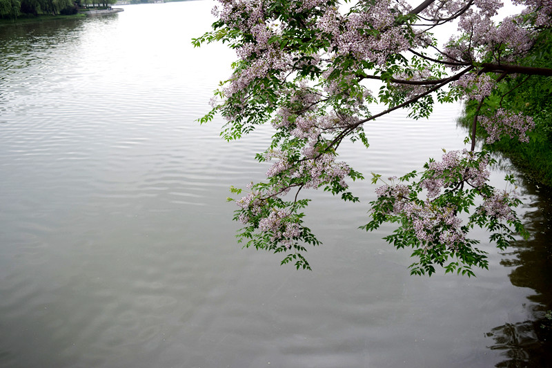 2016042403.jpg