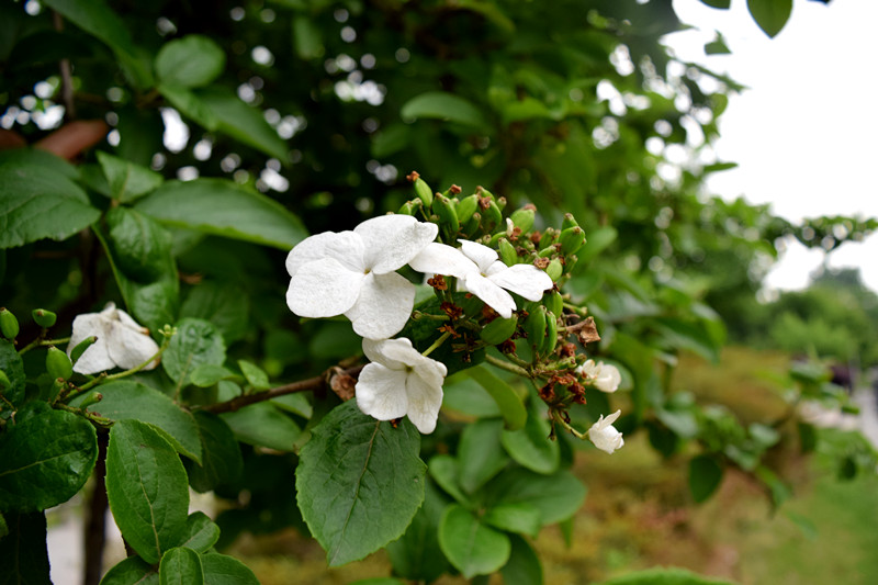 2016042401.jpg