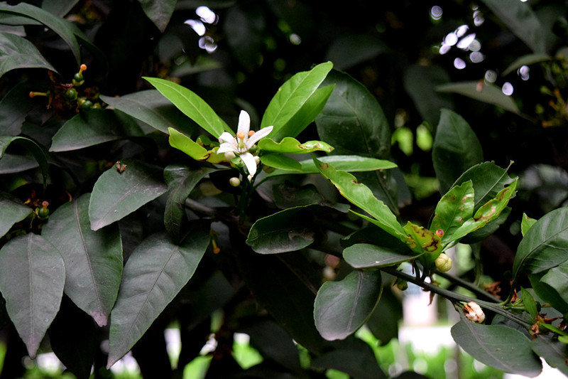 20160424ӻ01.jpg