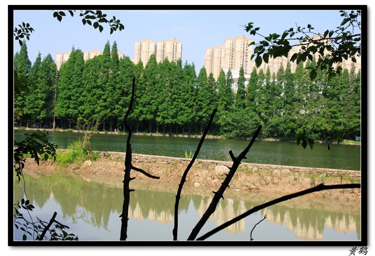 ﵺŮ6103.jpg