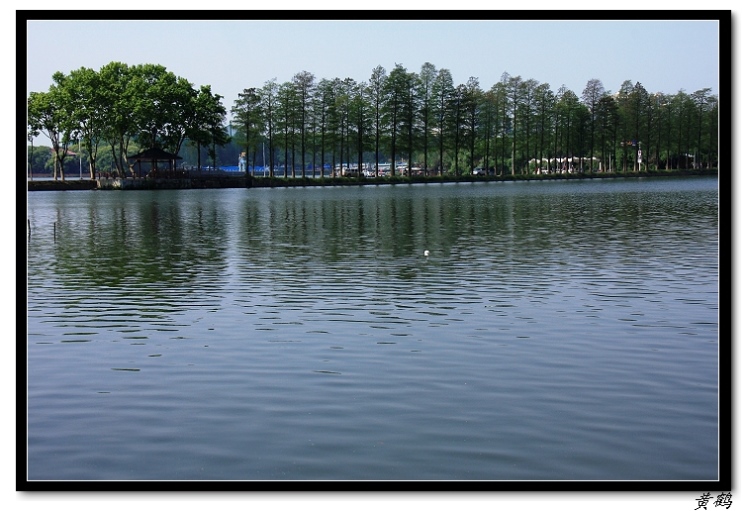 ﵺŮ6104.jpg