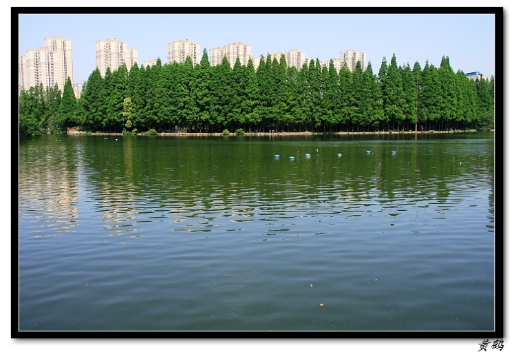 ﵺŮ6106.jpg