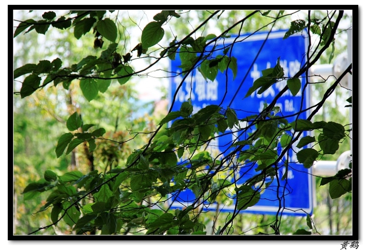 ﵺŮ6111.jpg
