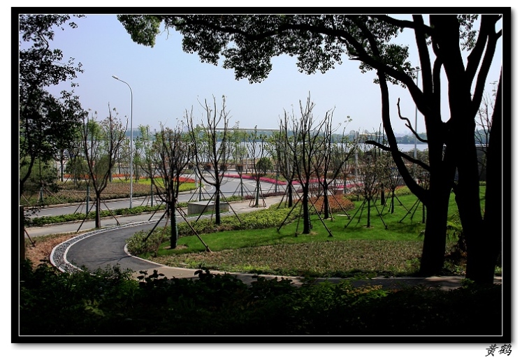 ﵺŮ6115.jpg