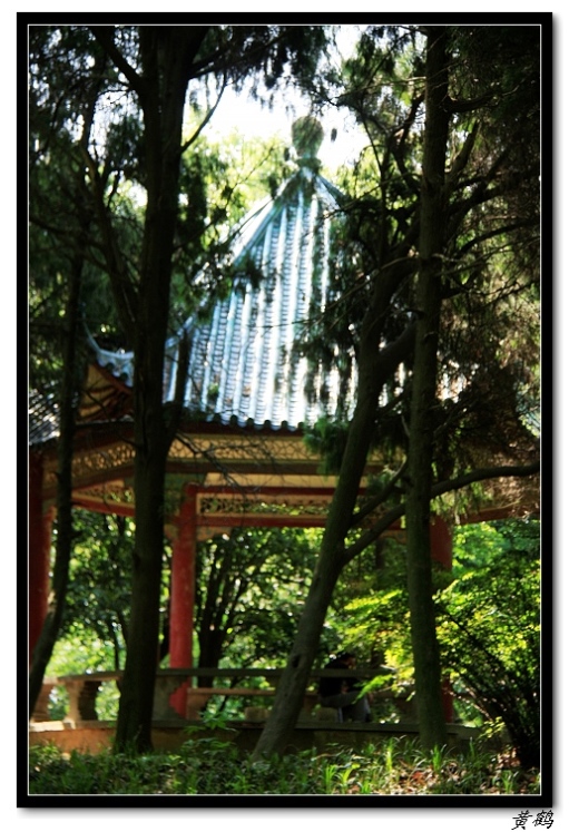 ﵺŮ6119.jpg