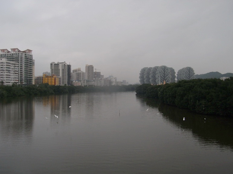 dscf0733.jpg