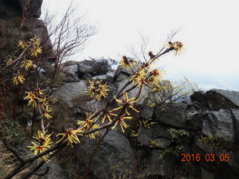 dsc09801.jpg