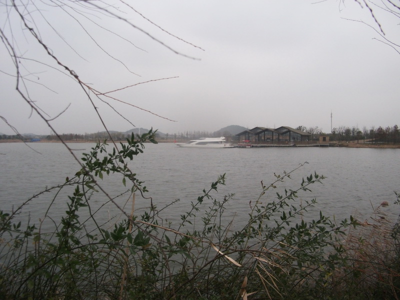 dscf0512.jpg