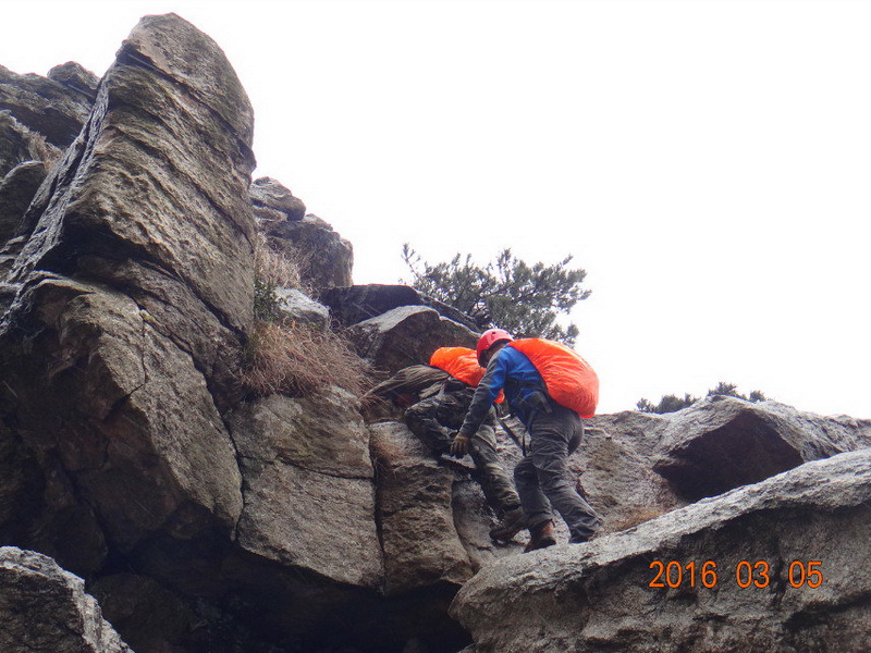 dsc09795.jpg