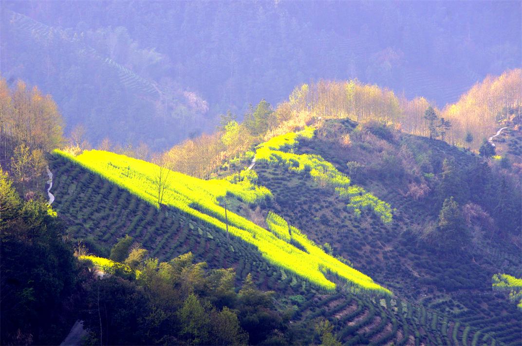 _igp9553.jpg