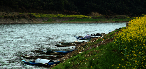 img_6635__.jpg