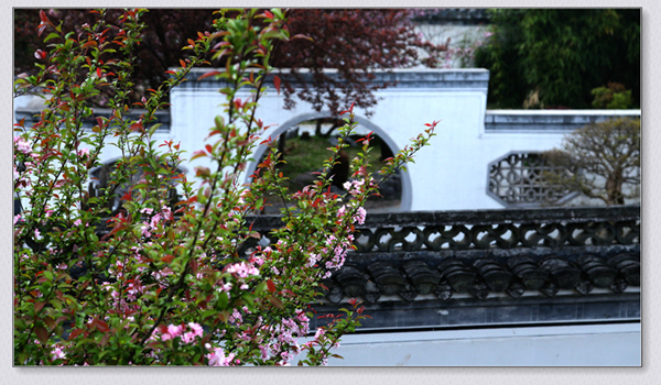 img_7436__.jpg