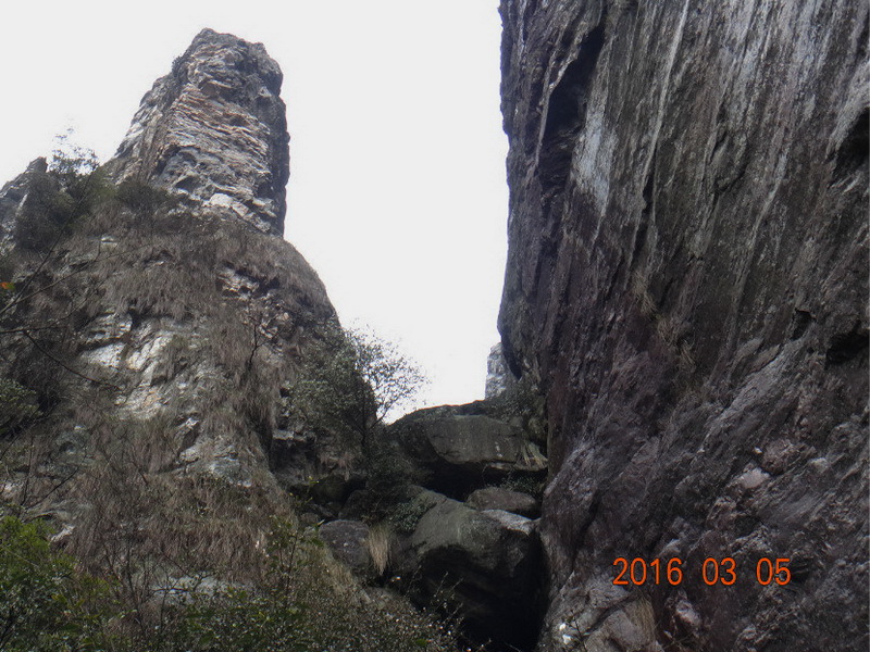 dsc09857.jpg