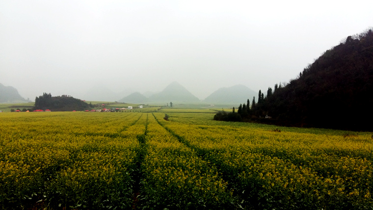 20160217_102435_.jpg