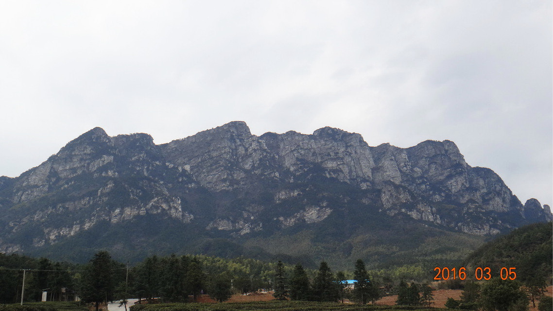 dsc09871.jpg