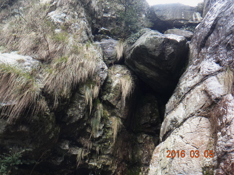 dsc09851.jpg