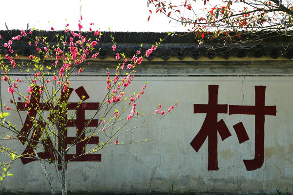 img_6914_副本_副本.jpg