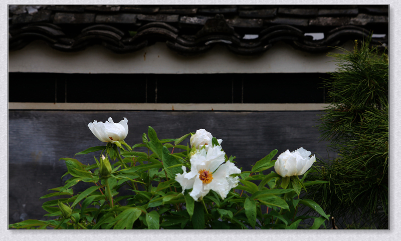 img_7534_副本_副本.jpg