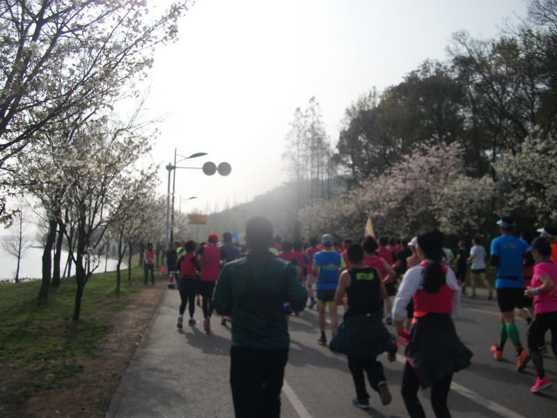 dscf1040.jpg