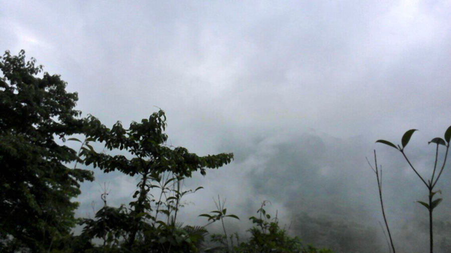 qqͼƬ20160505072312.jpg