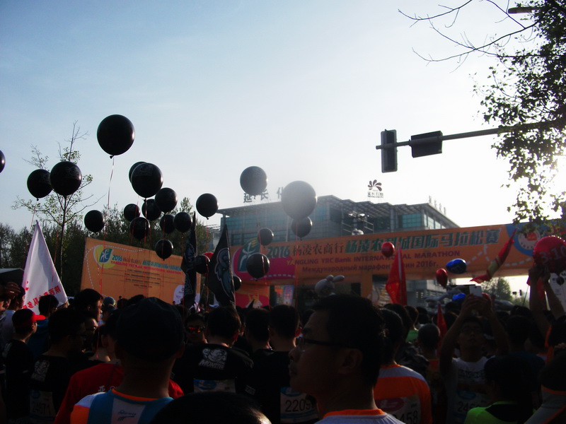dscf1206.jpg