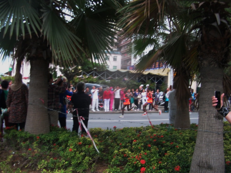 dscf0778.jpg