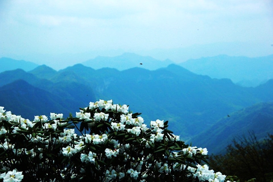 qqͼƬ20160520101654.jpg