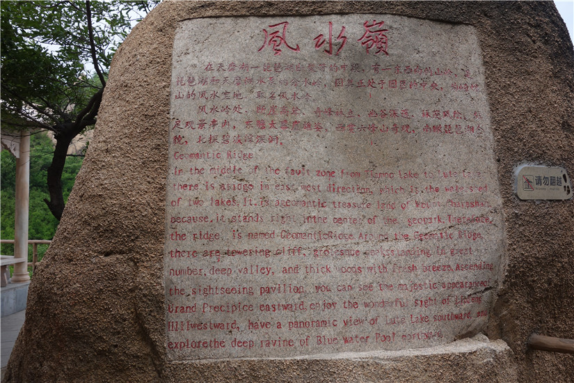 dsc00802.jpg