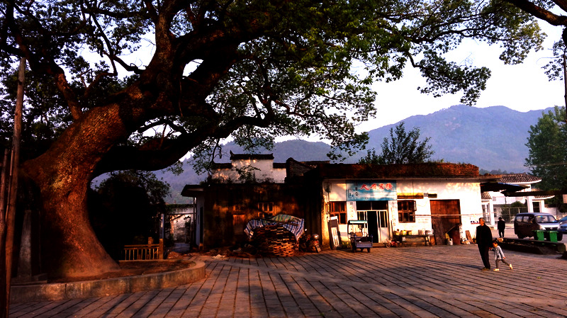 hongguan1.jpg