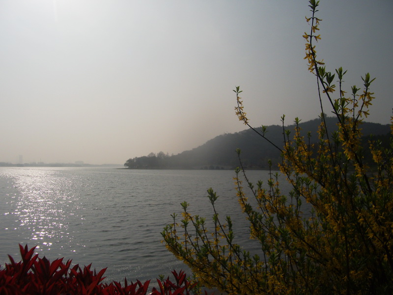 dscf1035.jpg