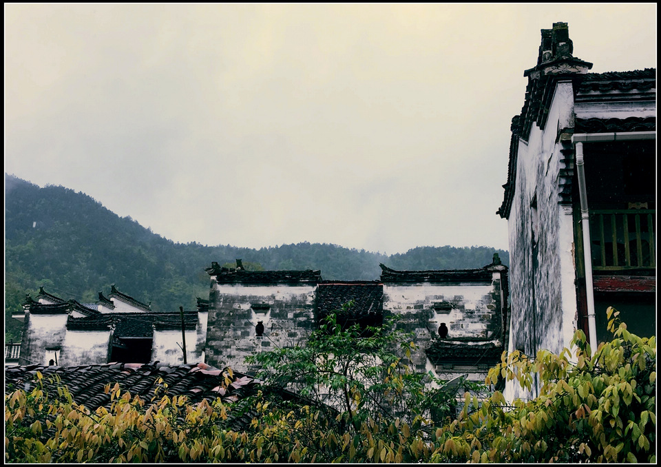 qq图片20160505194856.jpg